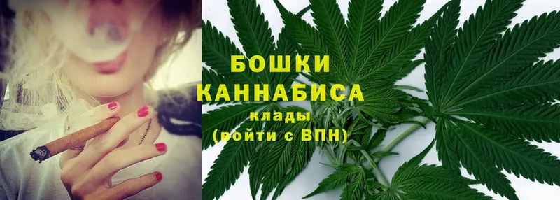 наркотики  Бабаево  Конопля SATIVA & INDICA 